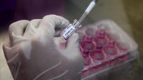 ¿Cuándo llegará a México el farmaco para convatir el COVID-19 que Rusia ofreció a Latinoamérica?