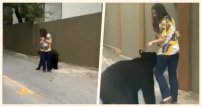 Reaparece OSO cariñoso para ´abrazar´ a otra mujer (VIDEO)